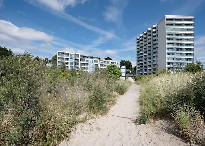 Eichenhain Japandi Stuuv * بيلزيرهاكين